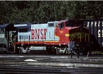 BNSF 519